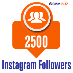 buy 2500 Instagram followers