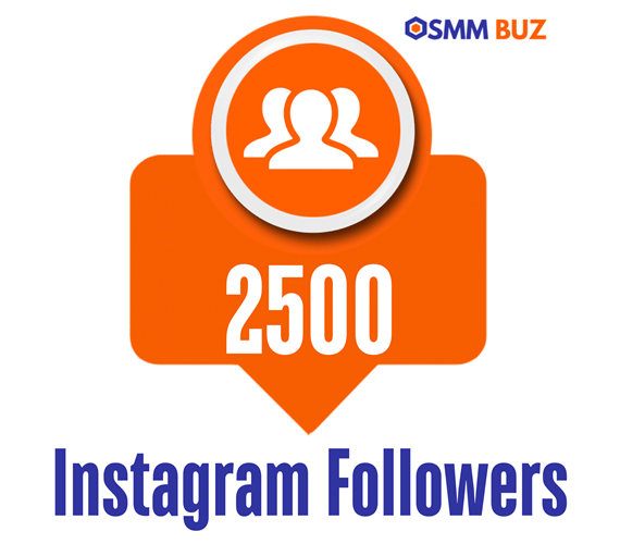 buy 2500 Instagram followers