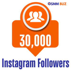 buy 30k Instagram followers