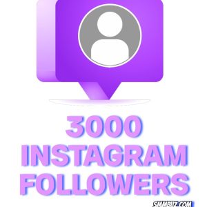 buy 3000 Instagram followers