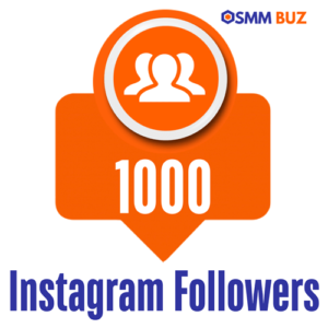 buy 1000 Instagram followers