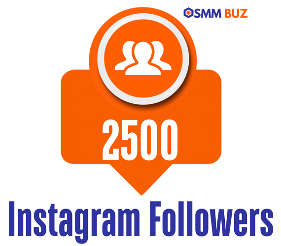 buy 2500 Instagram followers