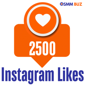 buy 2500 Instagram likes