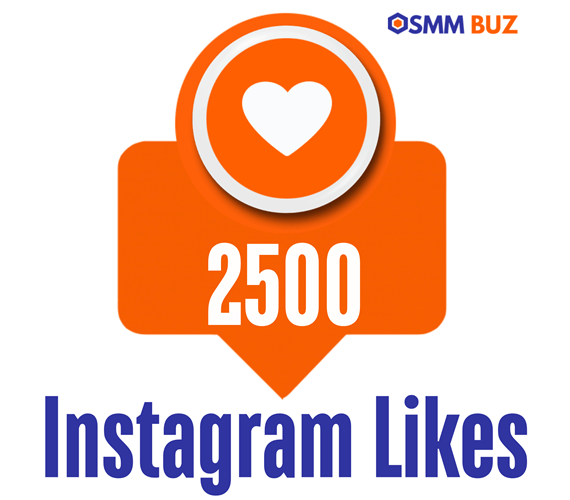 buy 2500 Instagram likes