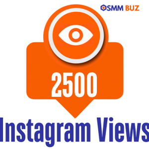 buy 2500 Instagram views