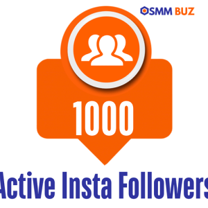 buy 1000 active Instagram followers