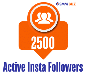buy 2500 active Instagram followers