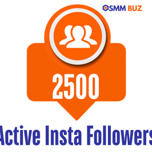 buy 2500 active Instagram followers