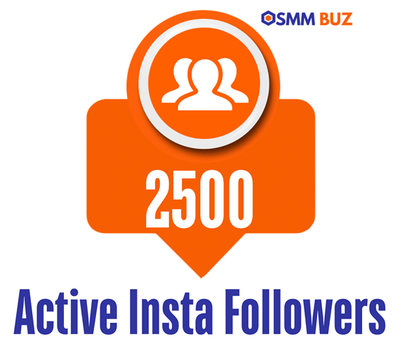buy 2500 active Instagram followers