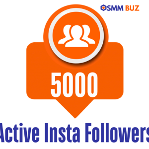 buy 5000 active Instagram followers