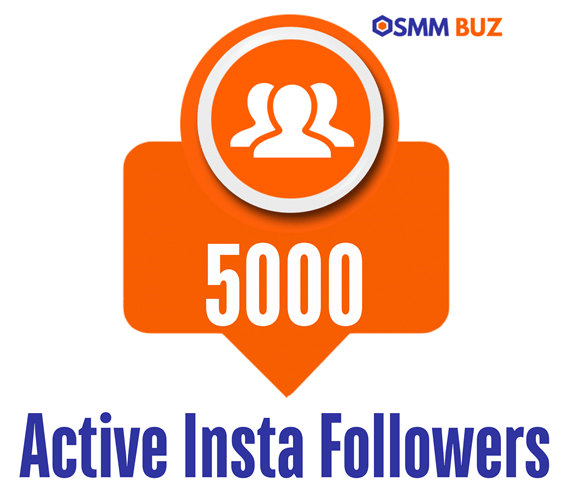 buy 5000 active Instagram followers