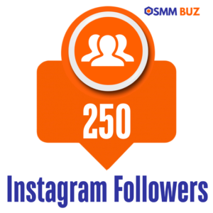 buy 250 Instagram followers