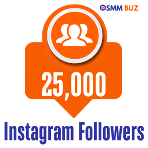 buy 25k Instagram followers