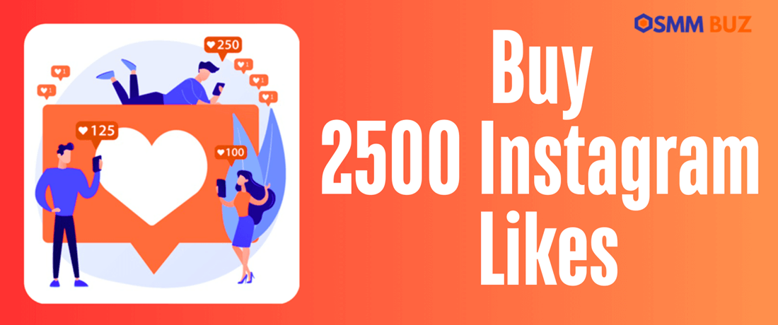 buy 2500 Instagram likes