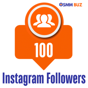 buy 100 Instagram followers