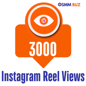 buy 3000 instagram reel views