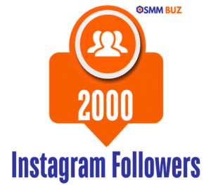 Buy 2000 Instagram followers