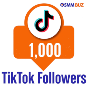 buy 1000 TikTok Followers